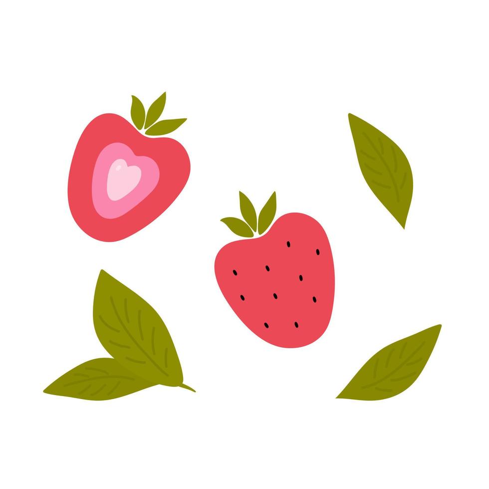 Strawberry and green tea leaves on white background. Vector illustration. Element for design, advertising, packaging of tea products