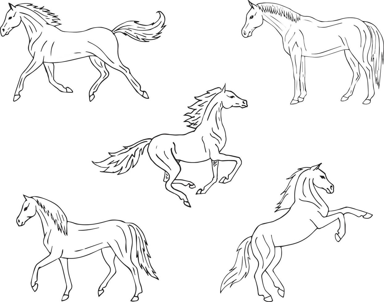 Vector set of hand drawn horse