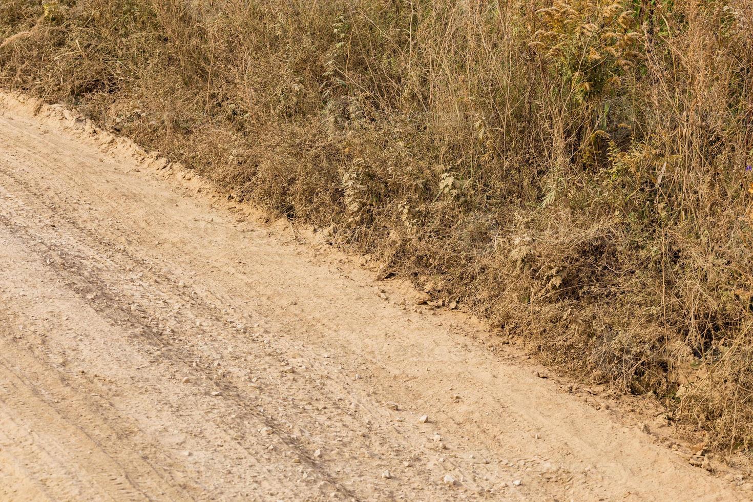dusty dry dirt road with wild grass thickets on its side photo
