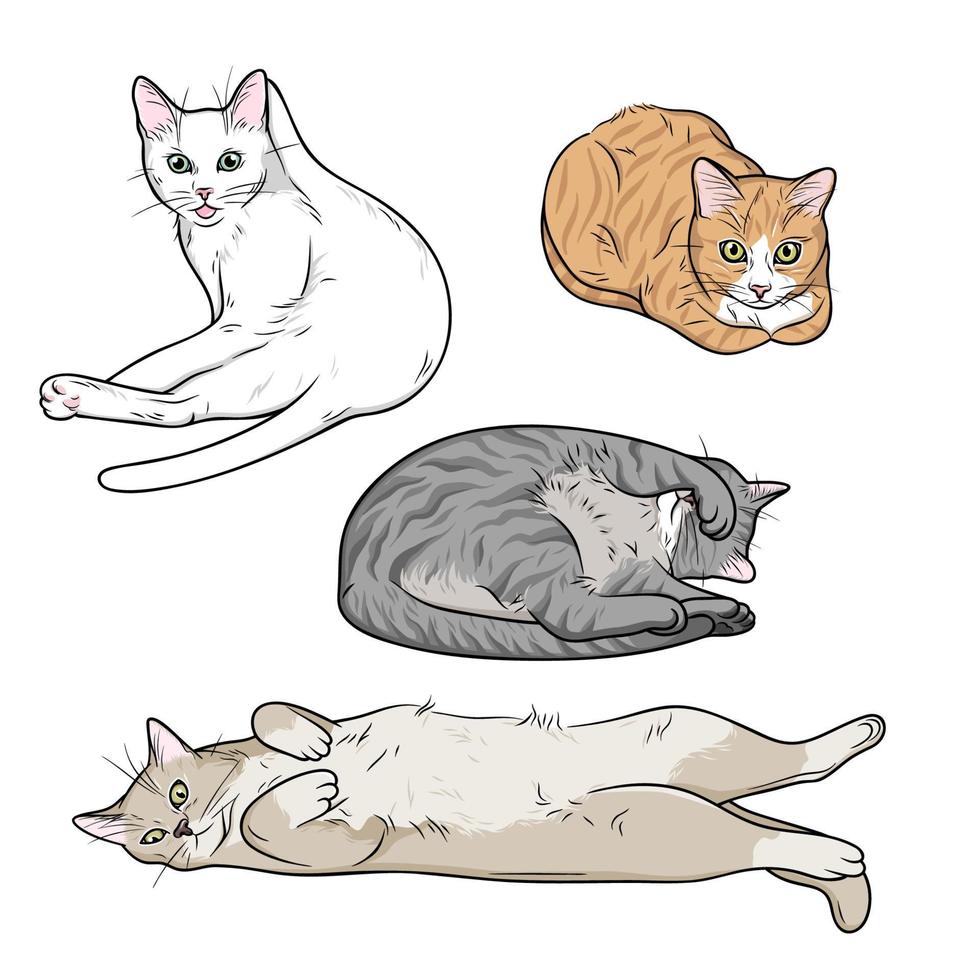 gatos divertidos en varias poses, lamiendo, lavando, mintiendo, durmiendo, gatos sentados vector