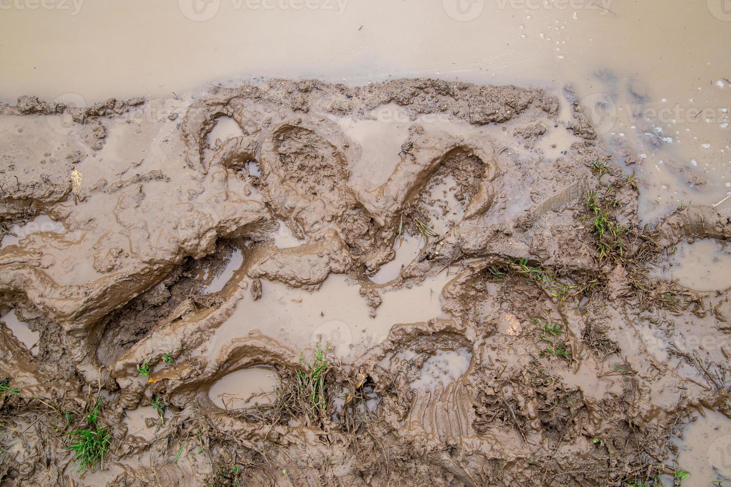 wet brown mud with fresh deep footprints, directly above view photo