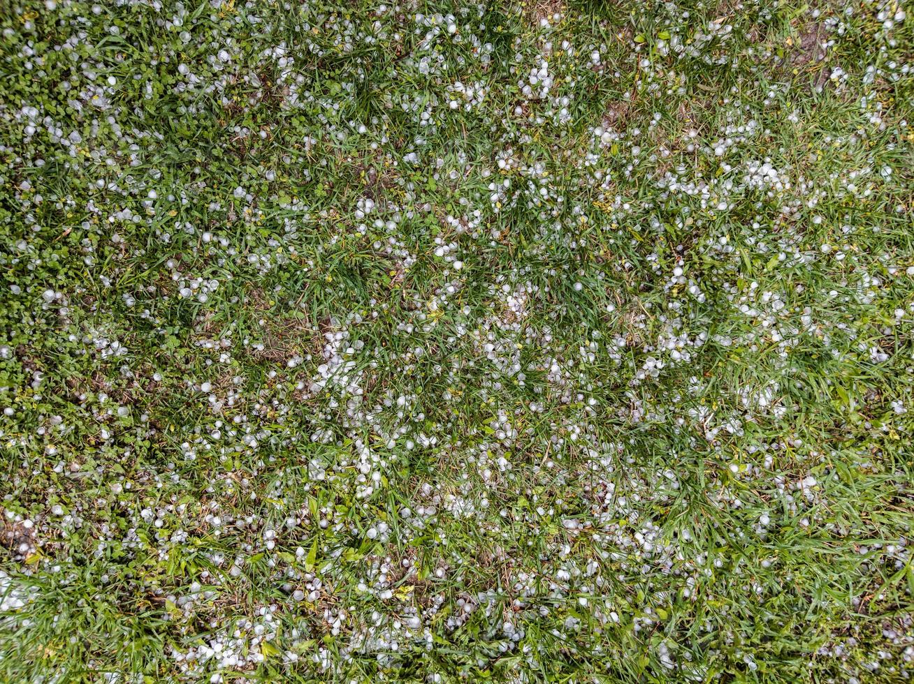 White ice hail on the green grass after summer storm photo