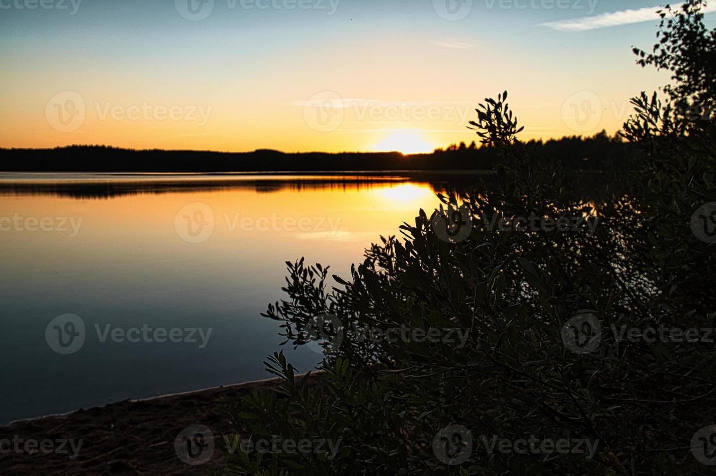 puesta de sol con reflejo en un lago sueco en smalland con arbustos en primer plano foto