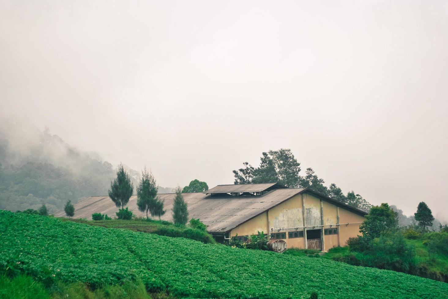 a house in the middle of a green field photo