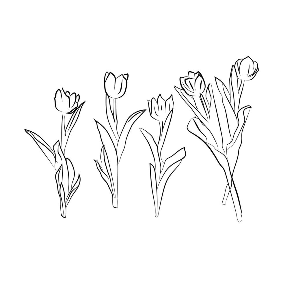 Line art flower vector. Modern Graphic Flowers vector illustration.