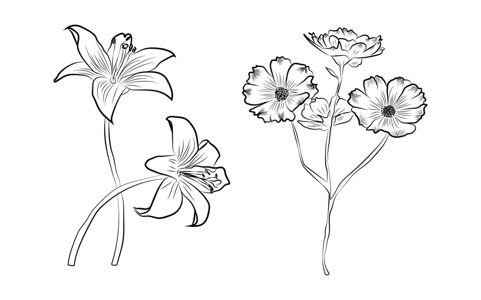 Line art flower vector. Modern Graphic Flowers vector illustration.