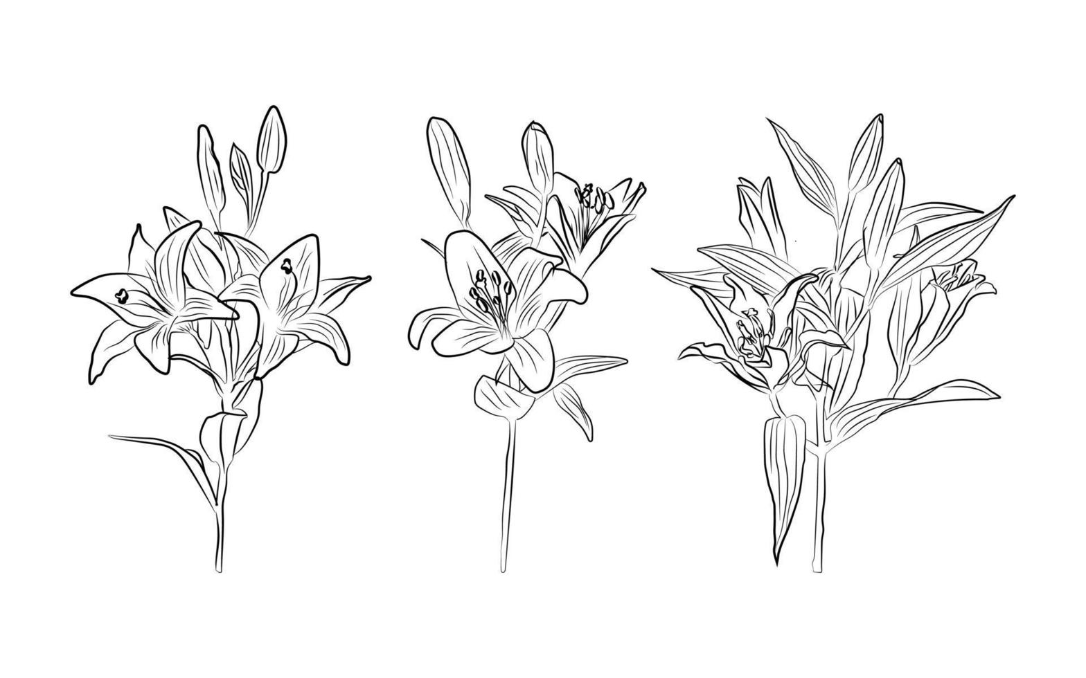Line art flower vector. Modern Graphic Flowers vector illustration.
