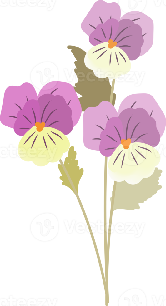 flat style beautiful viola flower in pink and purple tone png