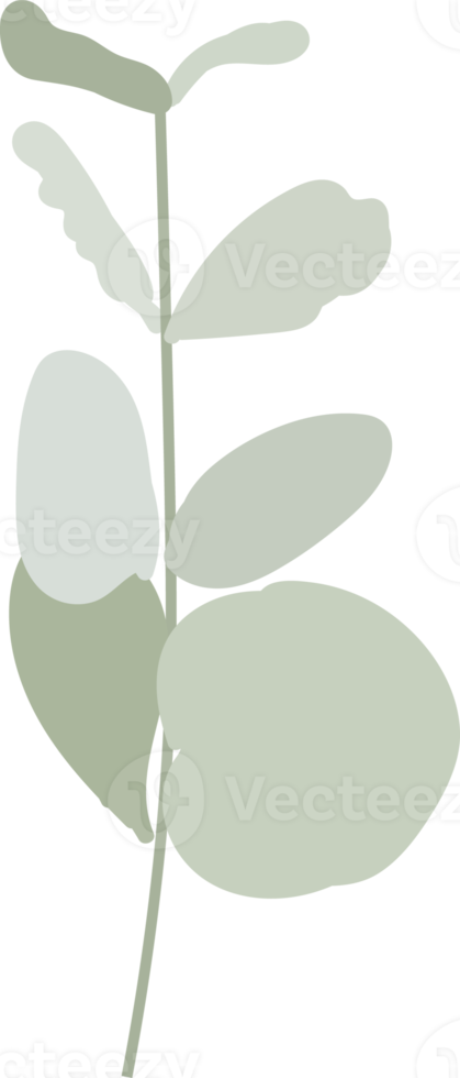 flor de camelia blanca y rama de hojas verdes estilo plano png