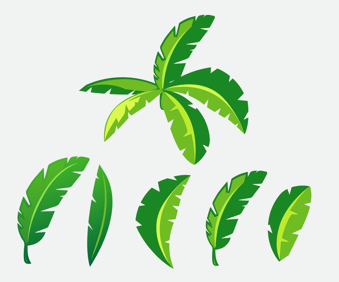 Collection of Banana leaf design background vector