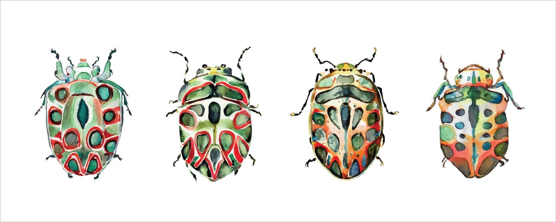 Green watercolor beetles set. Watercolor vector illustration isolted on white