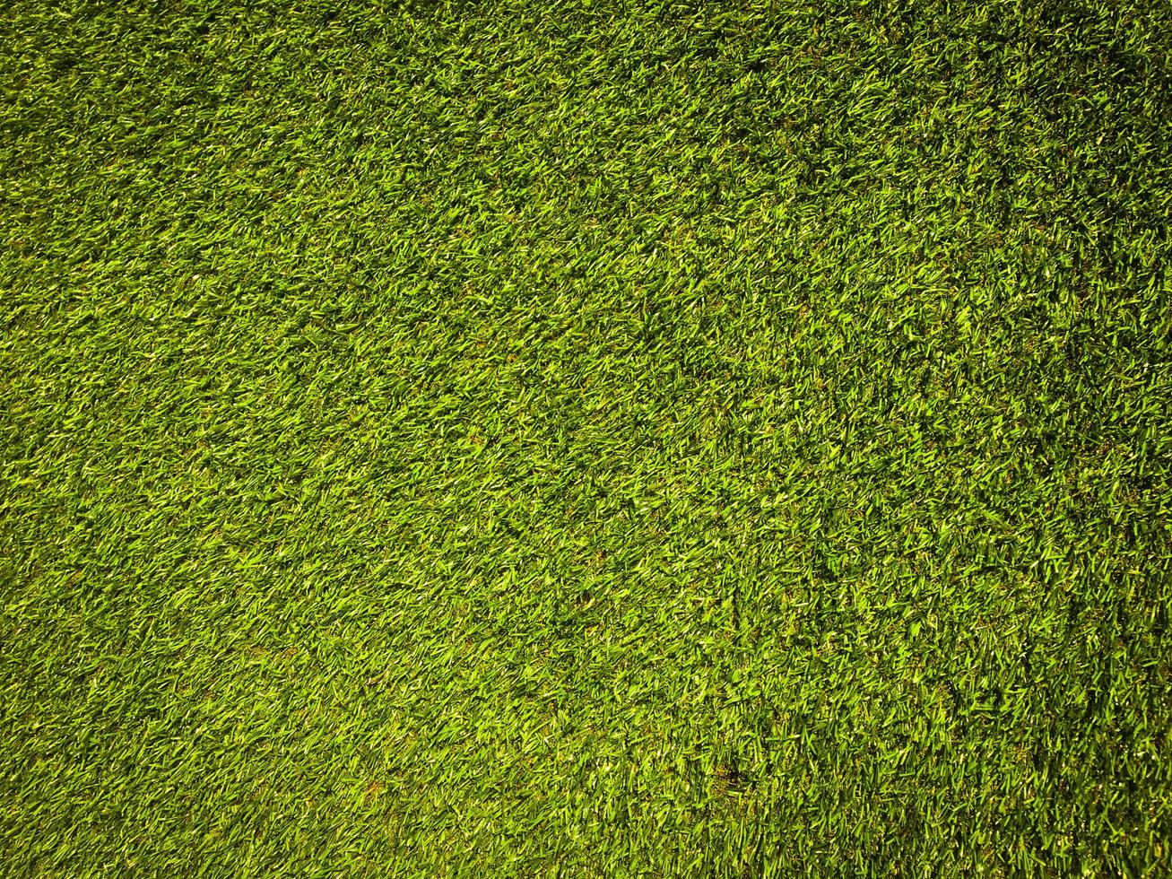 Artificial green lawn backyard for background. Texture for design photo