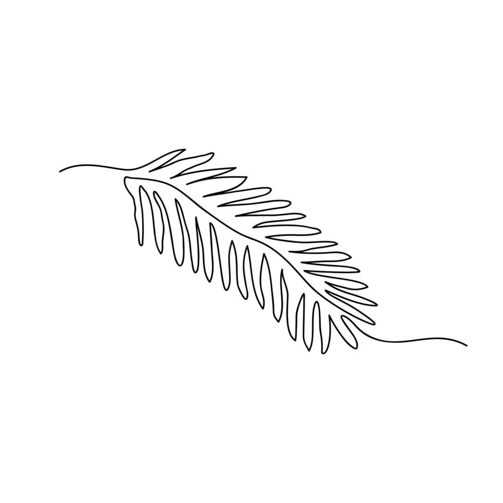 Doodle of fir branch in one line drawing . Hand drawn vector illustration of winter tree twig isolated on white backdrop. Evergreen sprig of pine, fir, spruce.