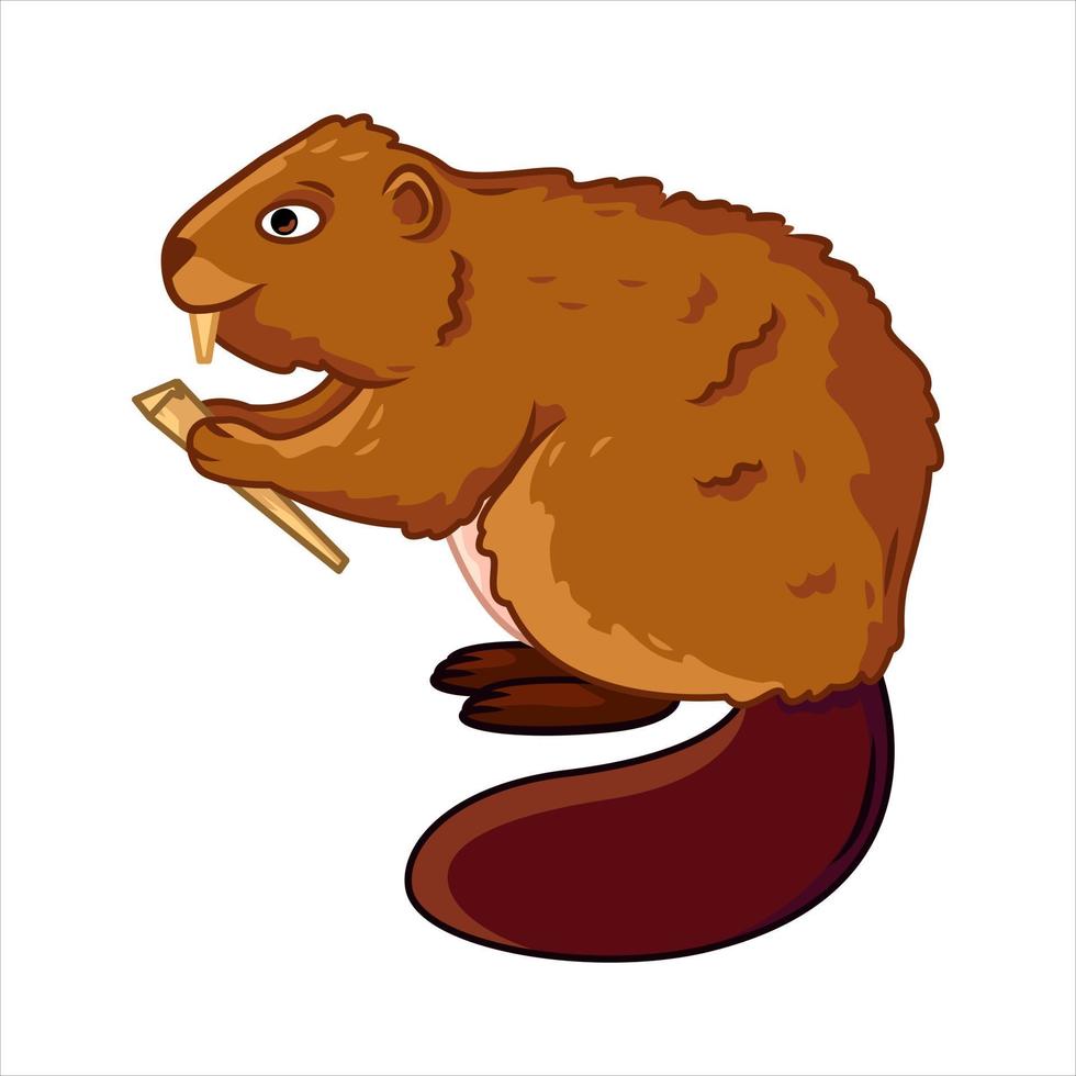 imagen aislada de un castor. lindos animales del bosque en estilo de dibujos animados. ilustración vectorial vector