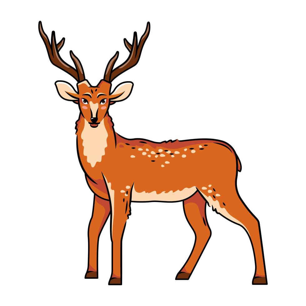 un lindo ciervo se alza sobre un fondo blanco. ilustración vectorial con lindos animales del bosque al estilo de las caricaturas. vector