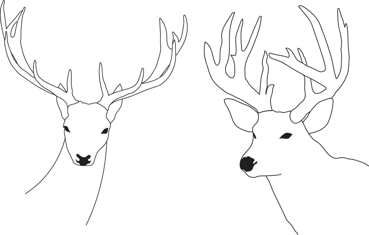 Deer skull vector