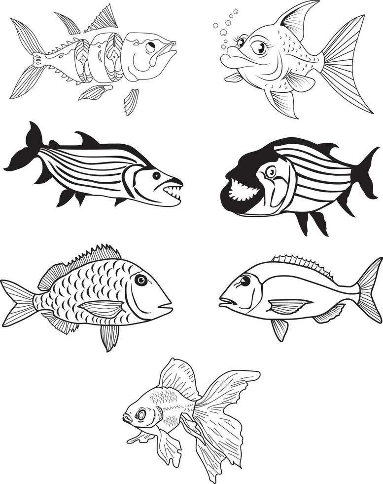 fish vector illustration