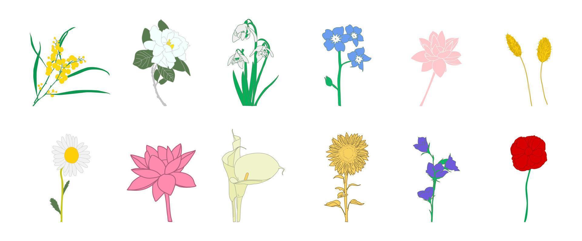 Colorful flowers vector set.