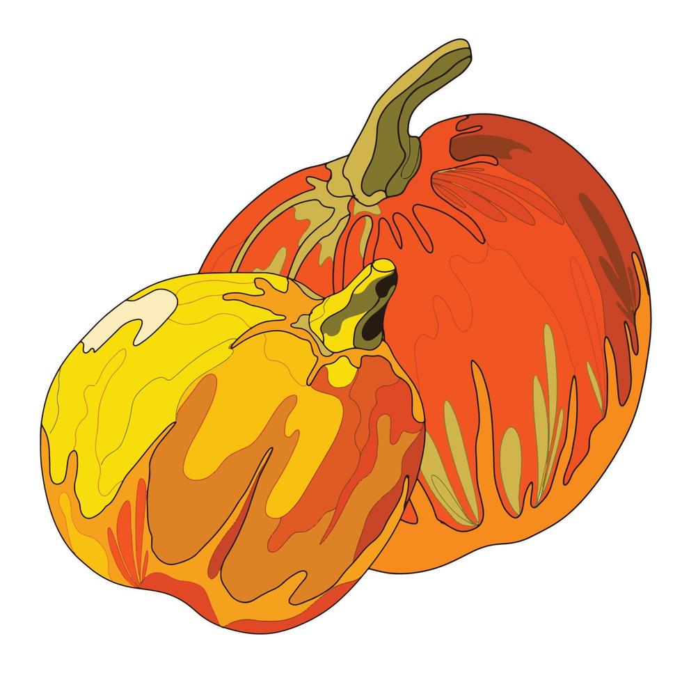 ilustración de plantas de calabaza en estilo doodle vector