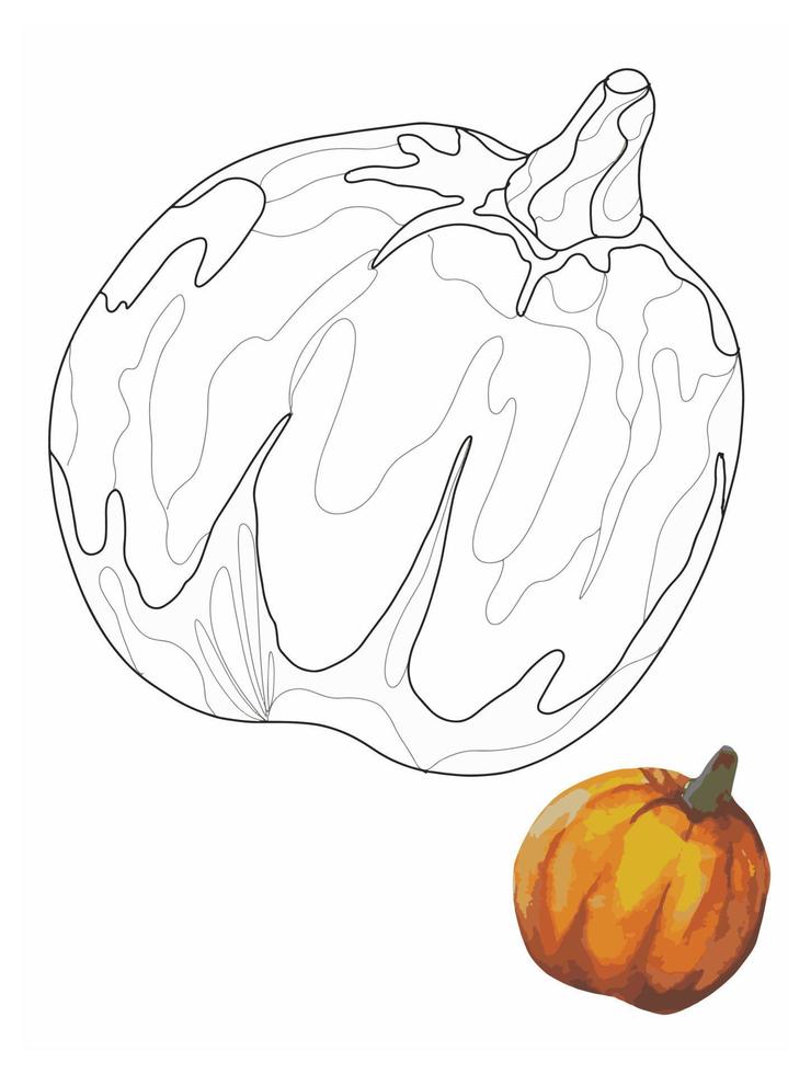 vegetable pumpkin doodle style coloring book, coloring page for kids vector