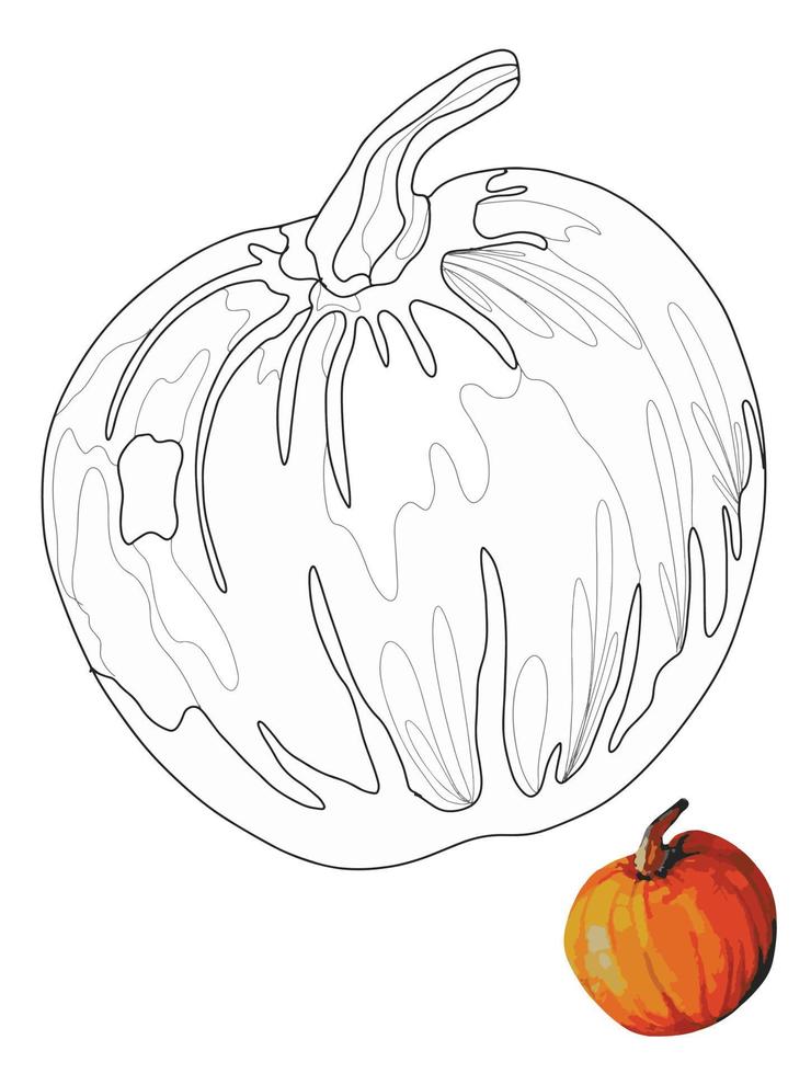 round pumpkin doodle style coloring book, coloring page for kids vector