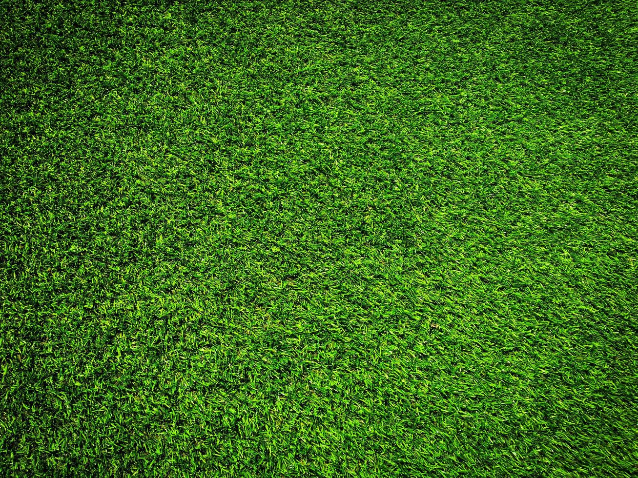 Nature green grass texture background for design. Eco concept. photo