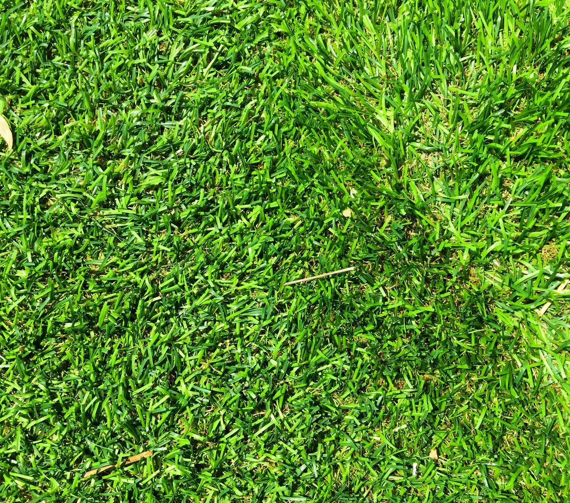 Closeup view of green grass soccer field background. Wallpaper for work and design. photo