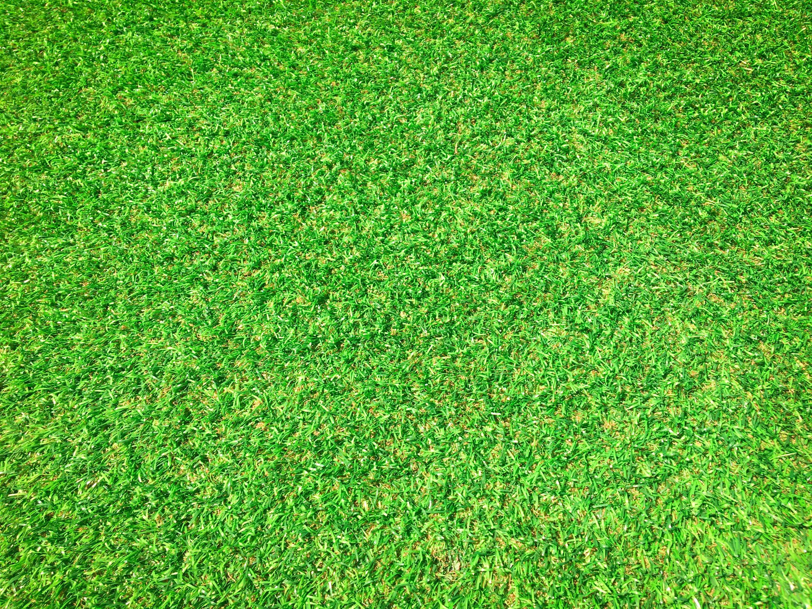 Beautiful green grass pattern from golf course for background. Copy ...