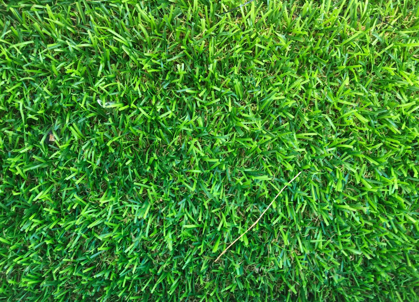 Beautiful green grass pattern from golf course for background. Copy space for work and design, Top view photo