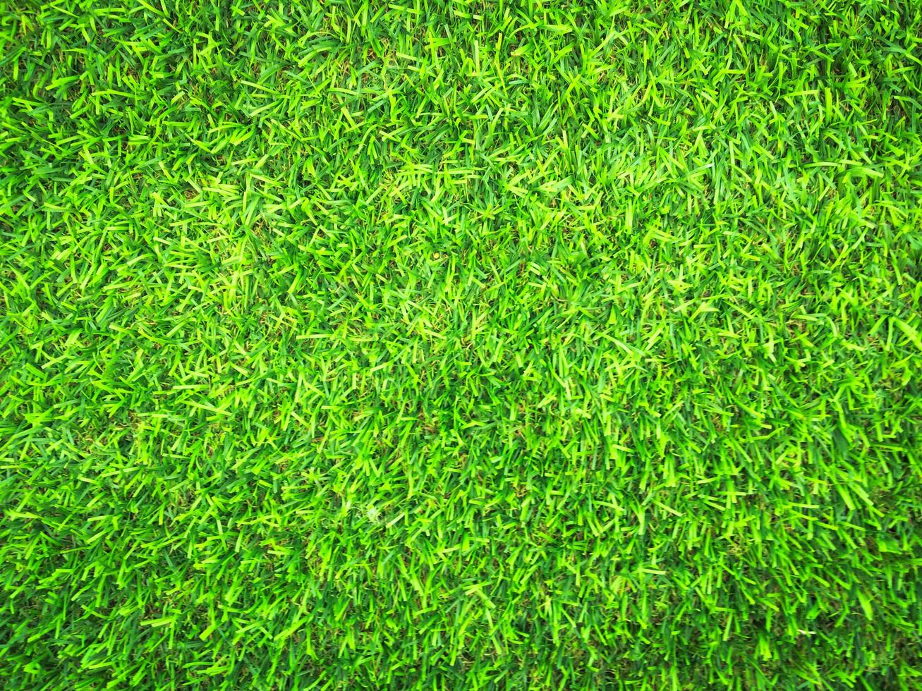Beautiful green grass pattern from golf course for background. Copy space for work and design, Top view photo