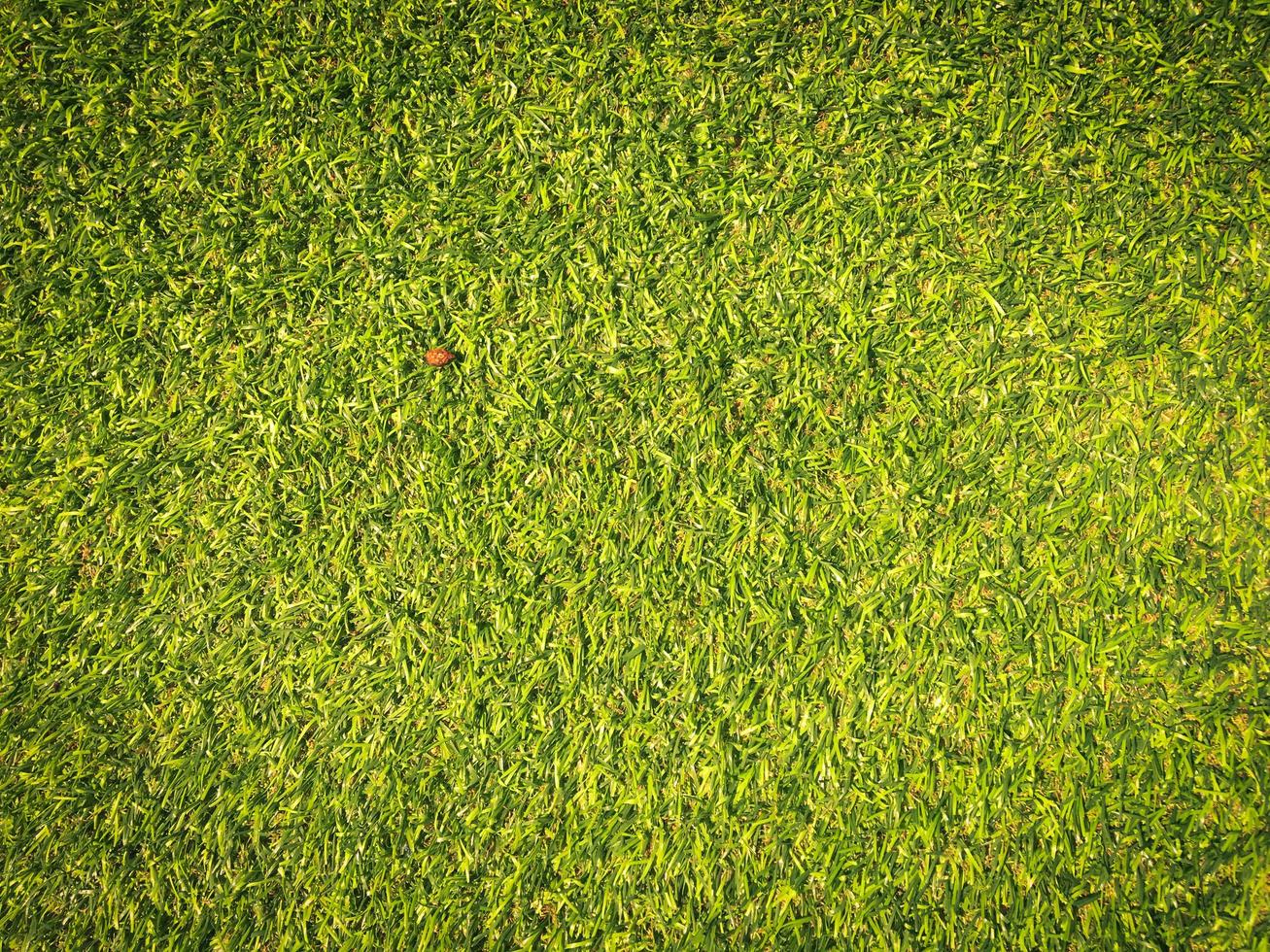 Beautiful green grass pattern from golf course for background. Copy space for work and design, Top view photo