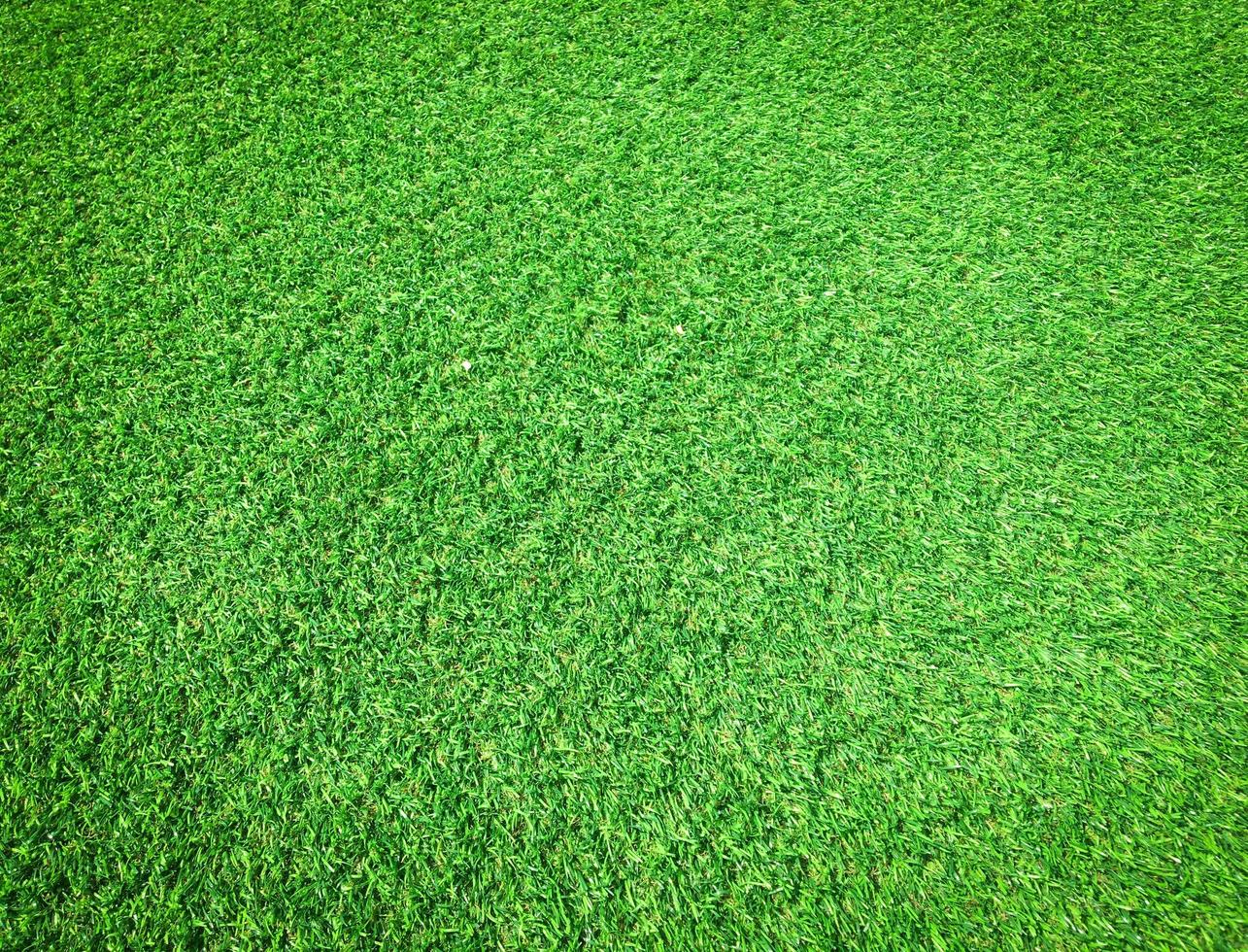 Green grass texture background with copy space for design, Top view photo