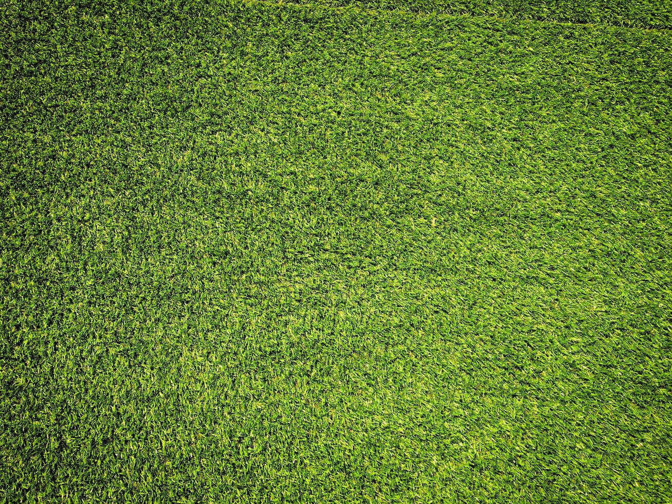 Artificial grass background for design, top view photo