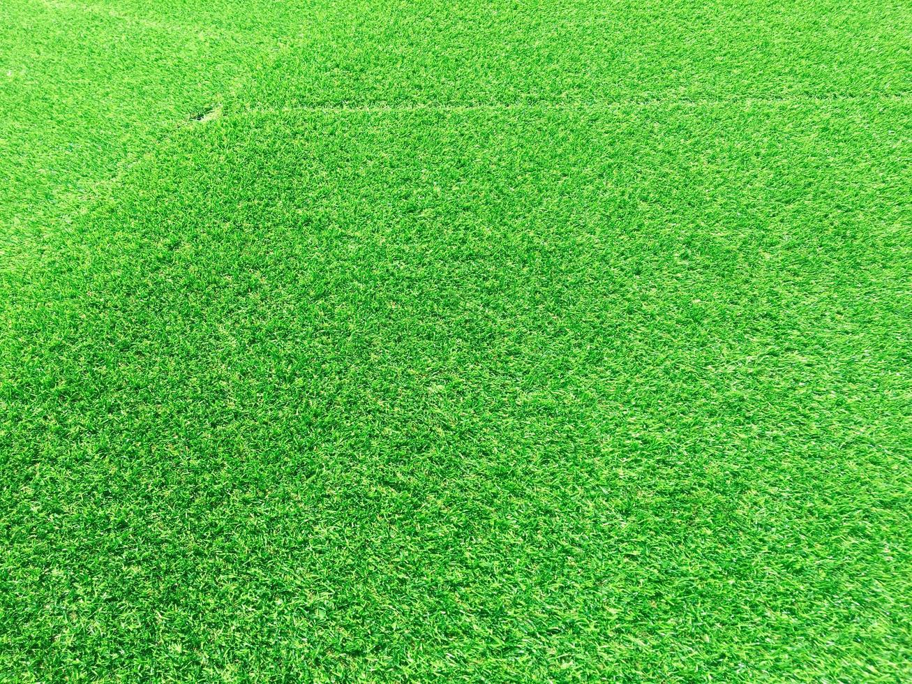 fondo de textura de hierba verde natural para el diseño. concepto ecológico. foto