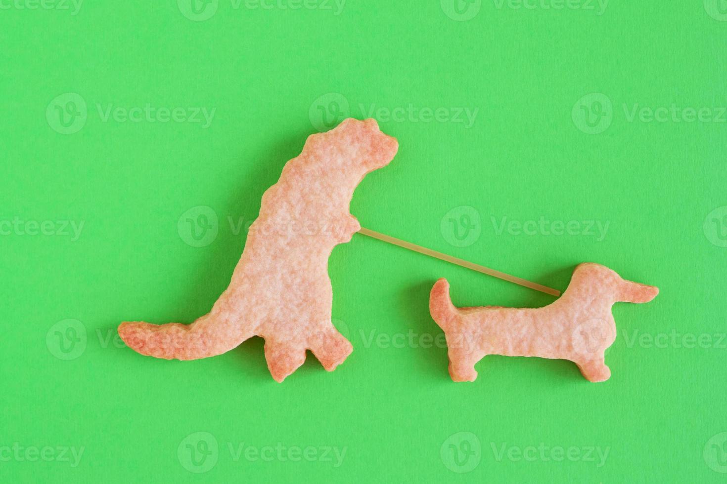 Homemade shortbread cookies on green background, top view. Dinosaur is walking with dog. photo