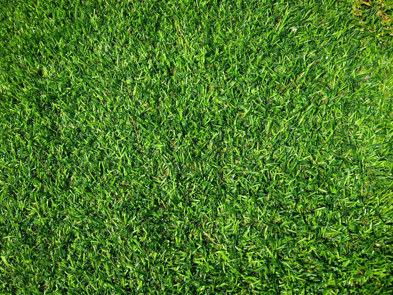 Closeup view of green grass soccer field background. Wallpaper for work and design. photo
