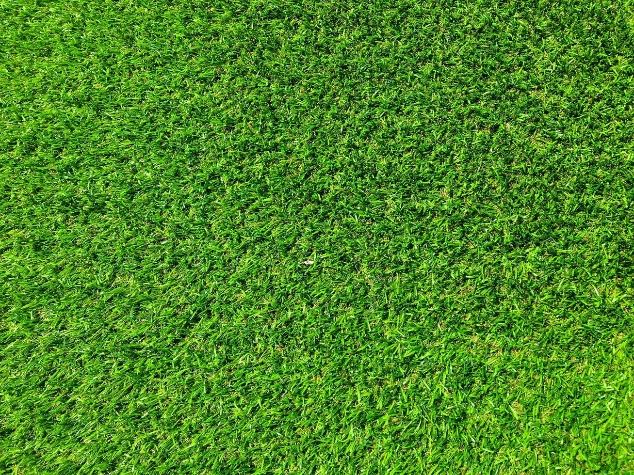 Nature green grass texture background for design. Eco concept. photo