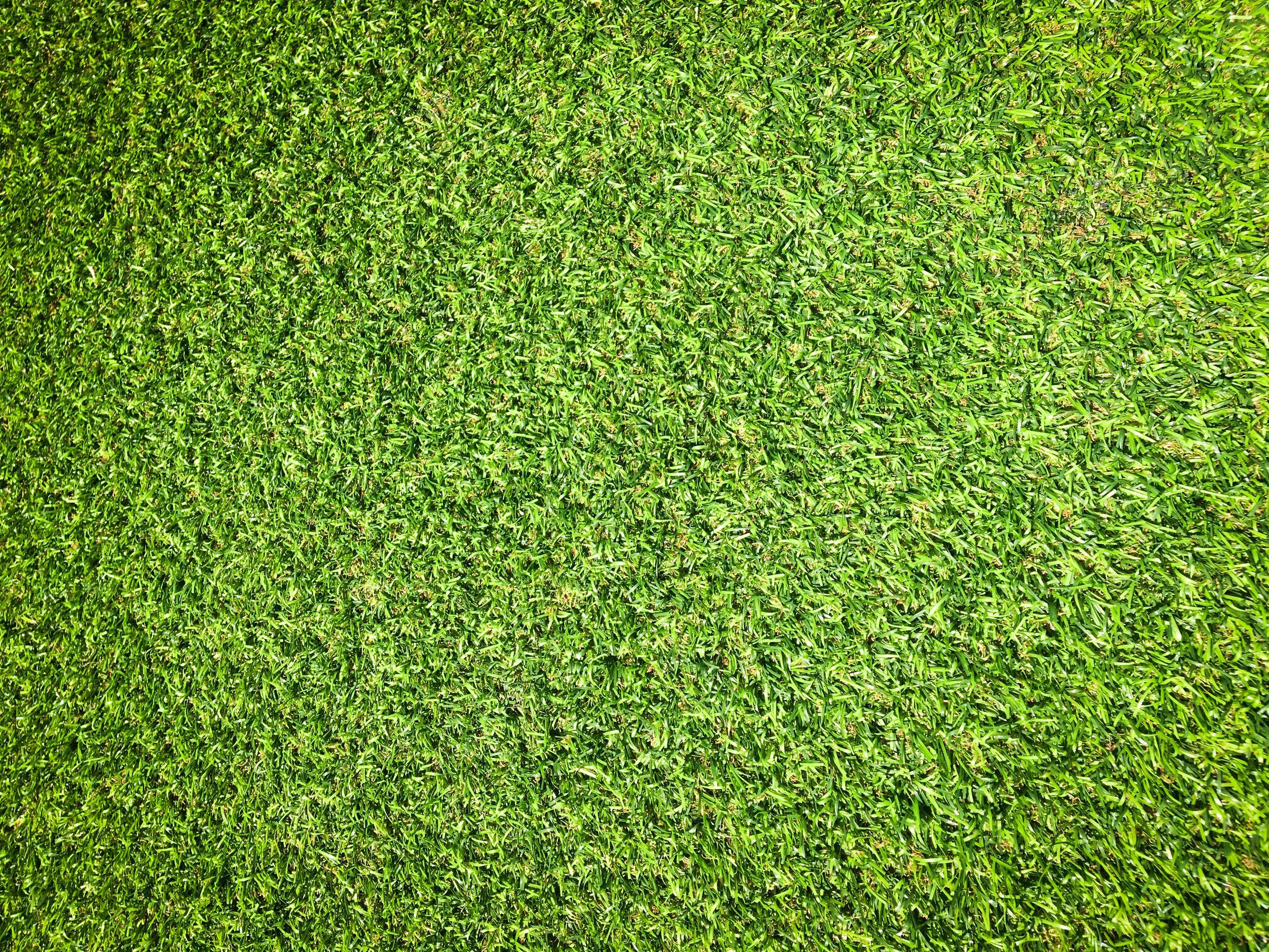 Beautiful green grass pattern from golf course for background. Copy space  for work and design, Top view 12679679 Stock Photo at Vecteezy