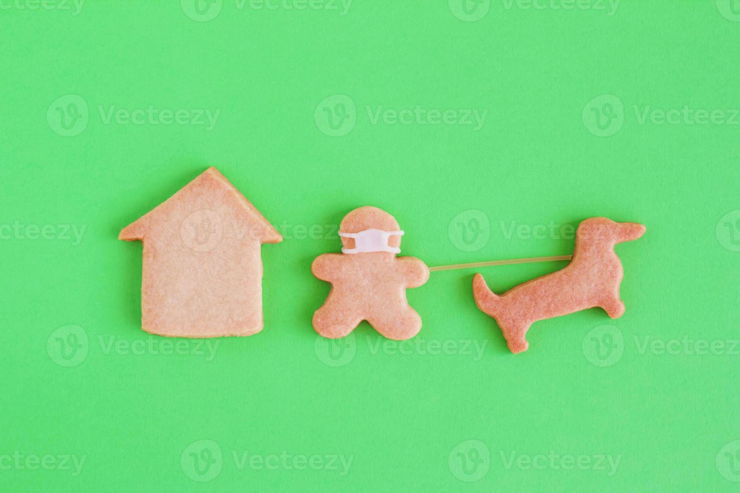 Homemade shortbread cookies with white glaze on green background, top view. Man with face mask is walking with dog near house. photo