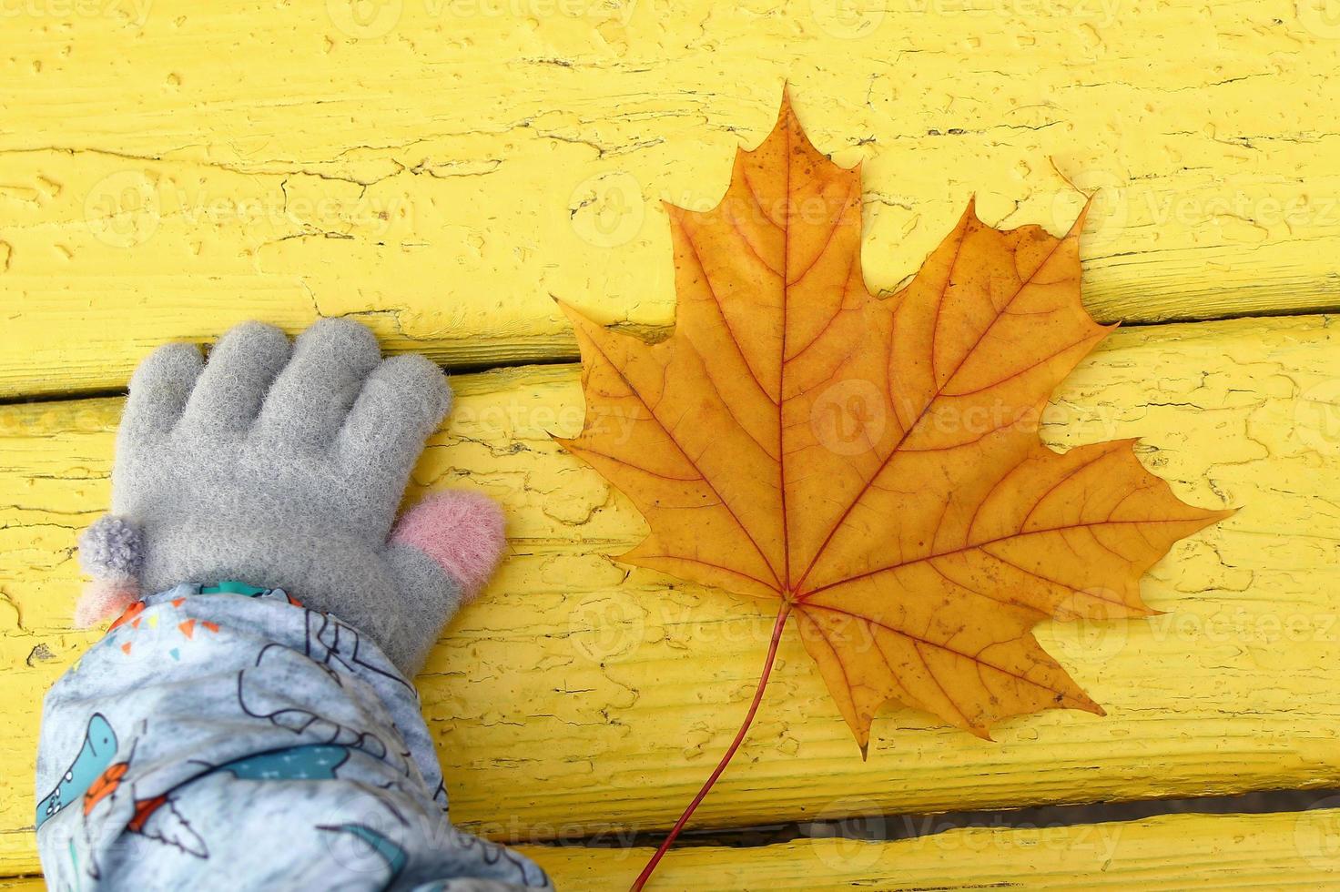 mano de niño en guante gris con hoja de arce naranja en un banco de madera amarillo, vista superior. foto