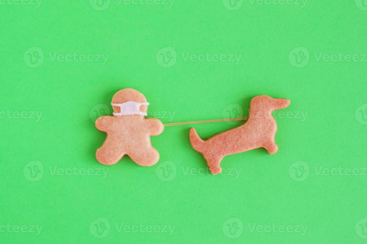 Homemade shortbread cookies with white glaze on green background, top view. Man with face mask is walking with dog. photo