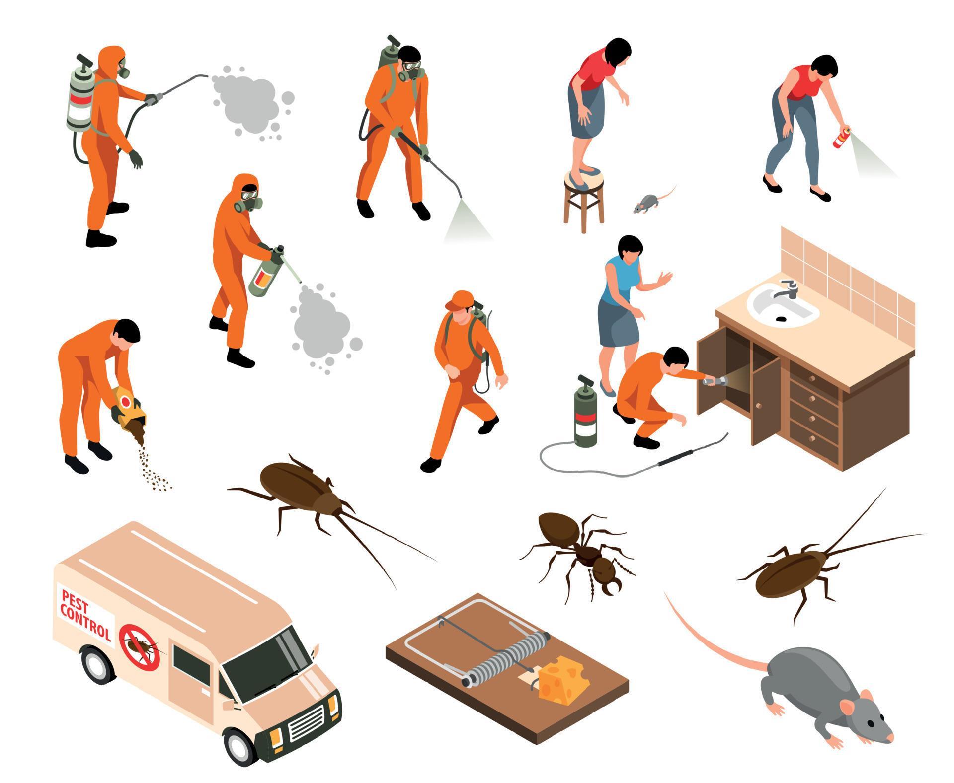 Pest Control Set 12680173 Vector Art at Vecteezy