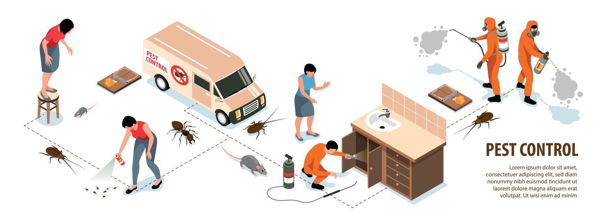 infografías de control de plagas vector