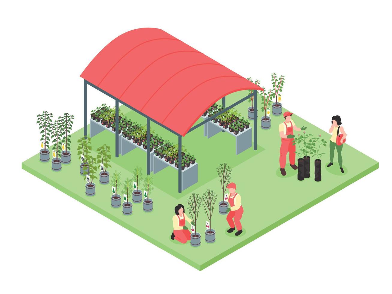 Isometric Nursery Garden vector