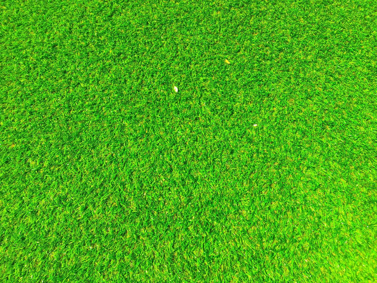 Top view of green grass texture background. Element of design. photo