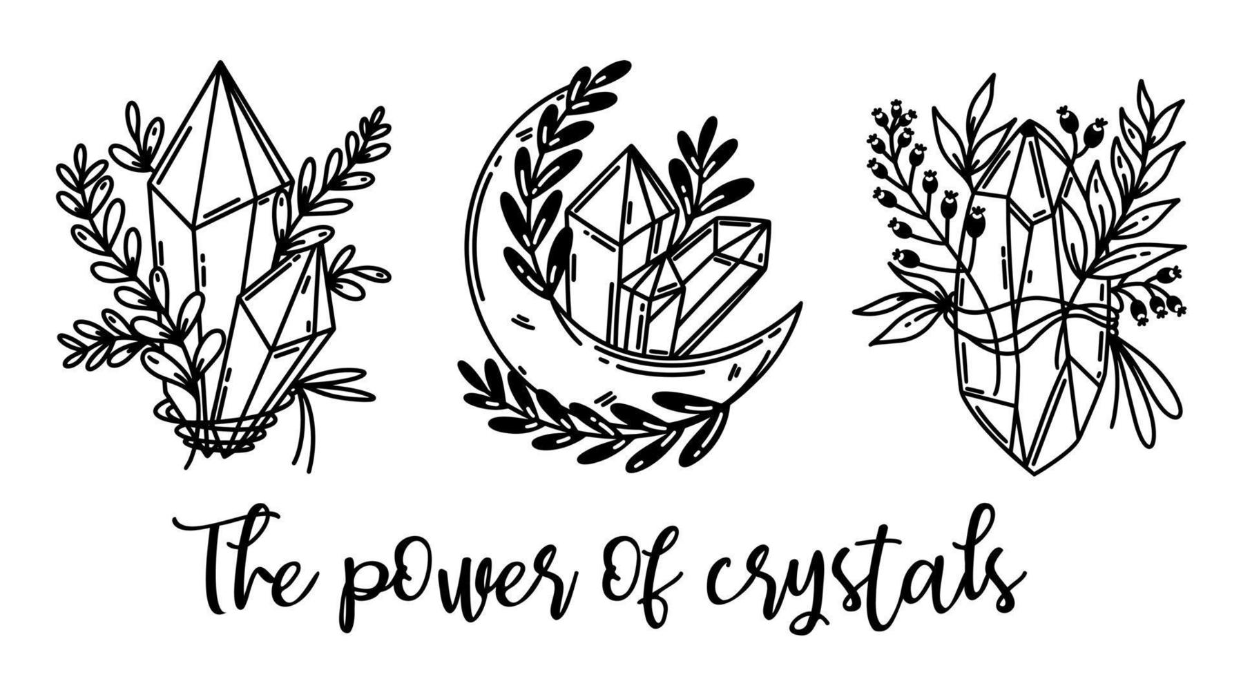 Magic crystals vector set. Quartz with plant branches, flowers. Moon prism, shining gem. The power of crystals. Black outline, sketch isolated on white. Illustration for cards, posters, prints, apps