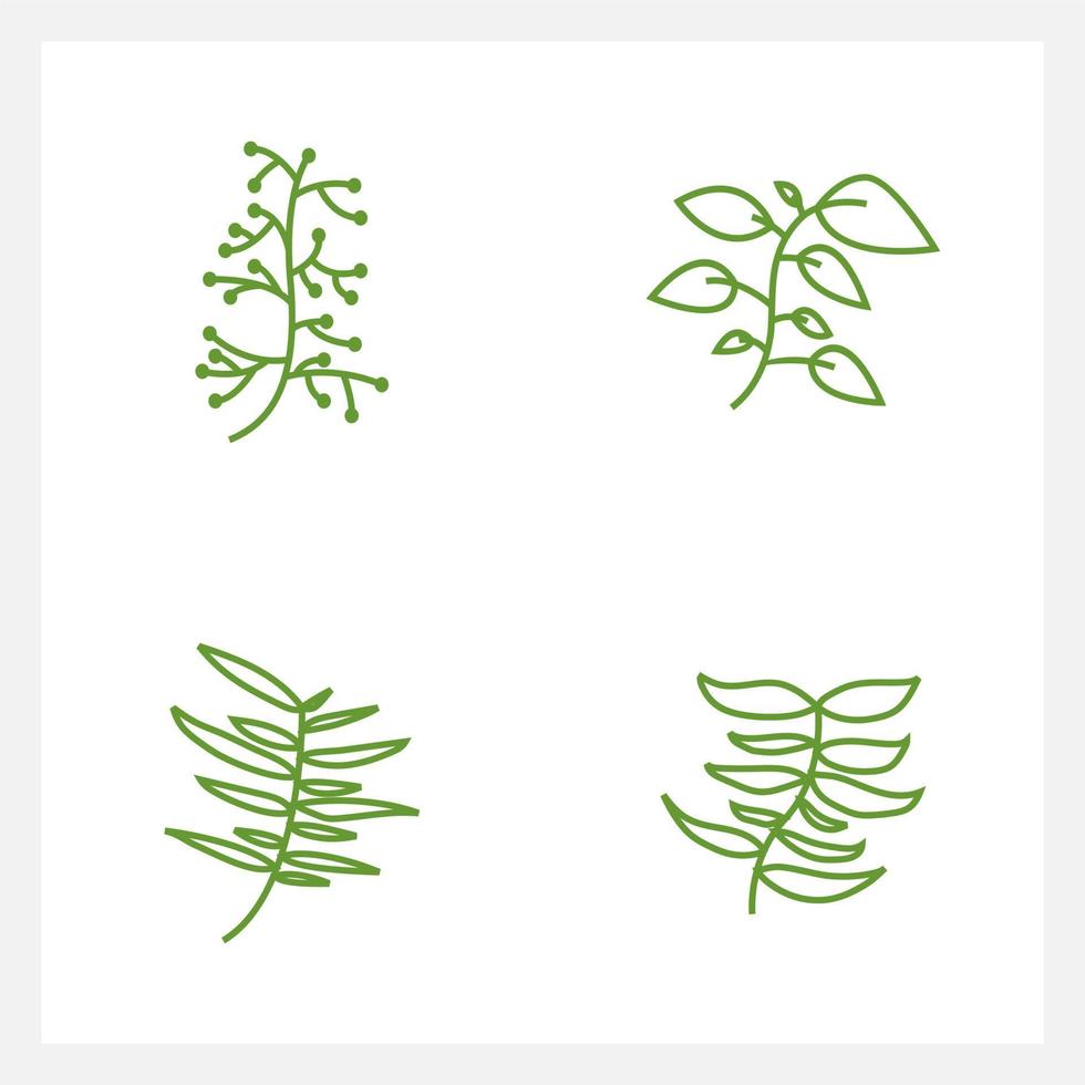 Hand drawn Set of leaf line art vector