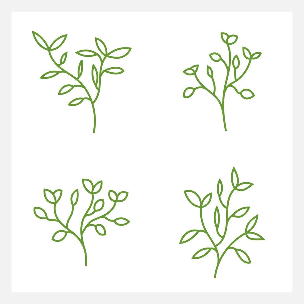 Hand drawn Set of leaf line art vector