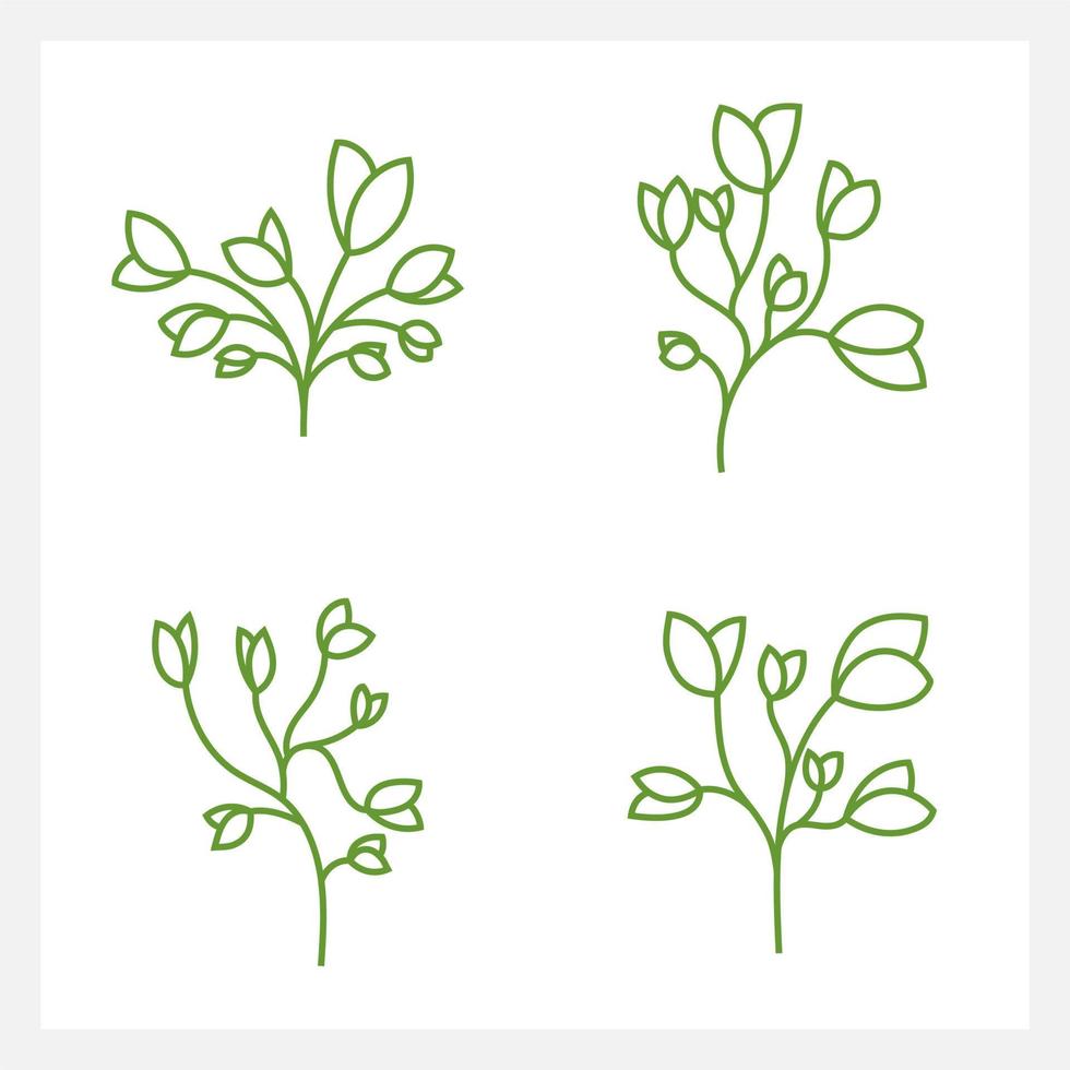 Hand drawn Set of leaf line art vector