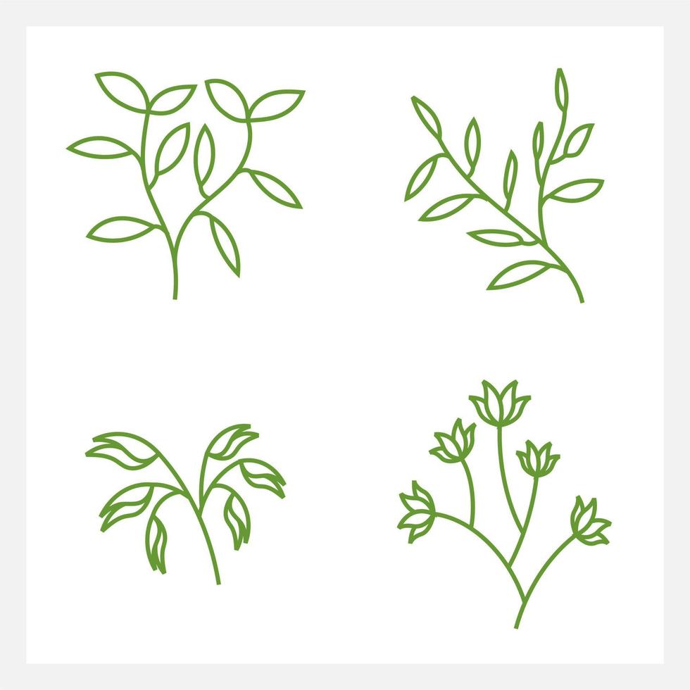Hand drawn Set of leaf line art vector